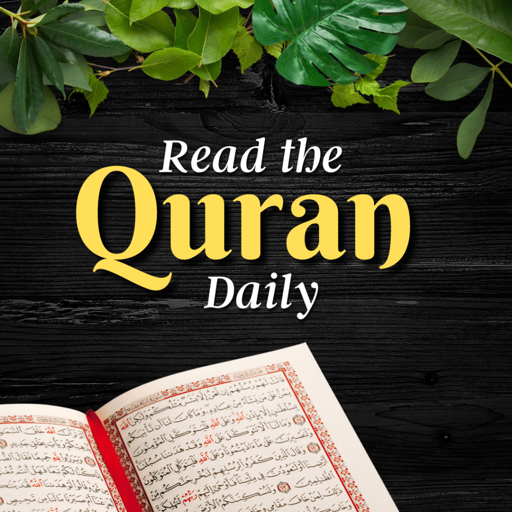 read-the-quran